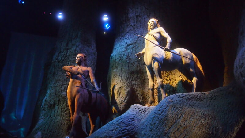 スタジオツアー東京、禁じられた森の写真