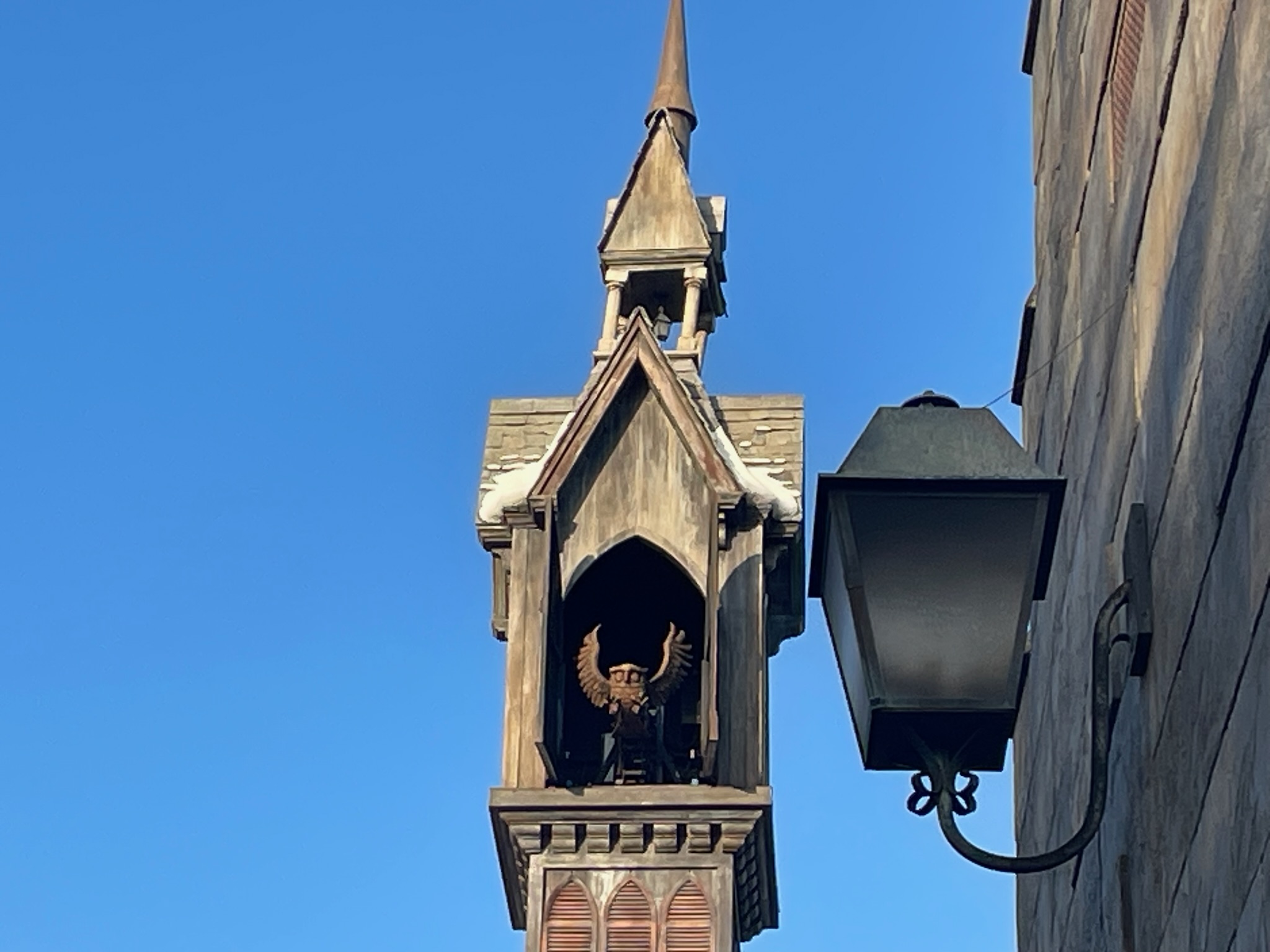 USJのふくろう小屋のふくろうの写真
