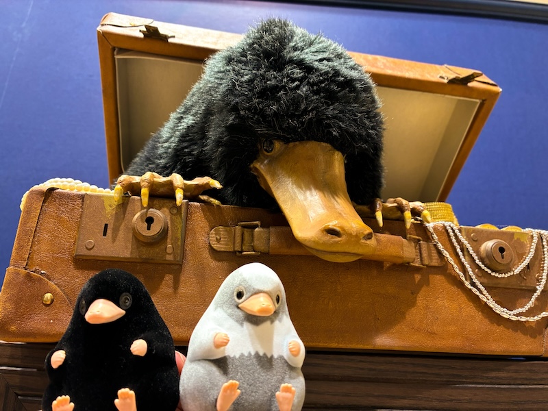 マホウドコロのベビーにフラーのガチャガチャの写真