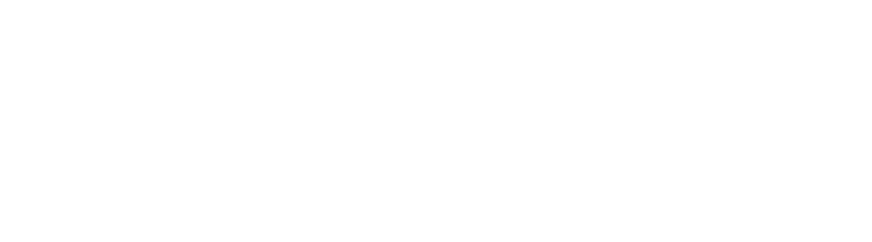 Harry's Broom